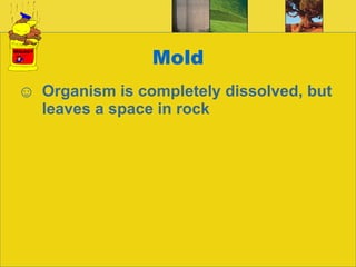 Mold Organism is completely dissolved, but leaves a space in rock 