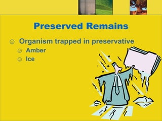Preserved Remains Organism trapped in preservative Amber Ice 