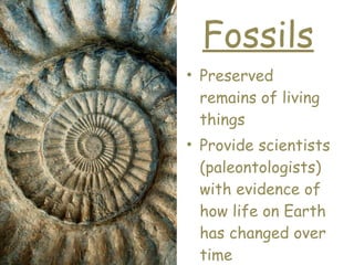 Fossils ,[object Object],[object Object]