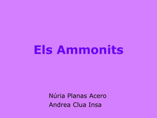 Els Ammonits


  Núria Planas Acero
  Andrea Clua Insa
 
