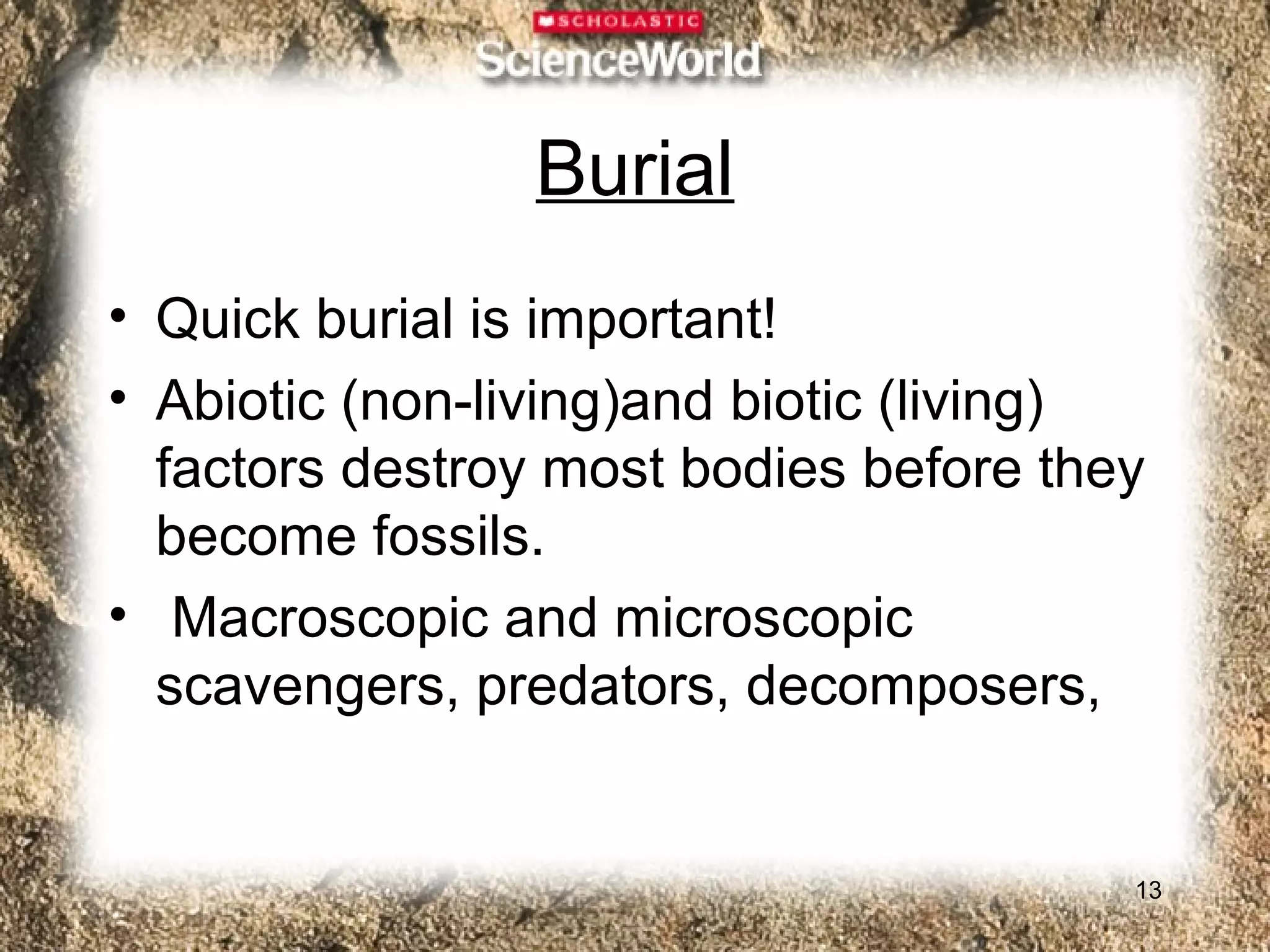 Burial
• Quick burial is important!
• Abiotic (non-living)and biotic (living)
  factors destroy most bodies before they
  become fossils.
• Macroscopic and microscopic
  scavengers, predators, decomposers,


                                        13
 
