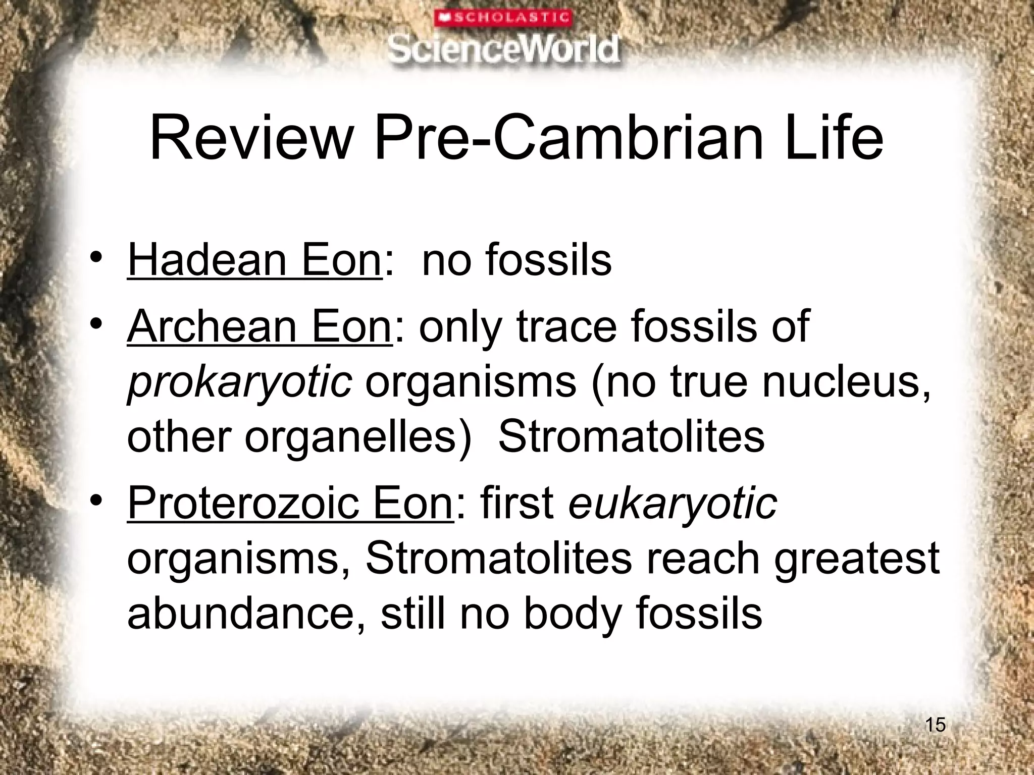 Review Pre-Cambrian Life
• Hadean Eon: no fossils
• Archean Eon: only trace fossils of
  prokaryotic organisms (no true nucleus,
  other organelles) Stromatolites
• Proterozoic Eon: first eukaryotic
  organisms, Stromatolites reach greatest
  abundance, still no body fossils

                                        15
 