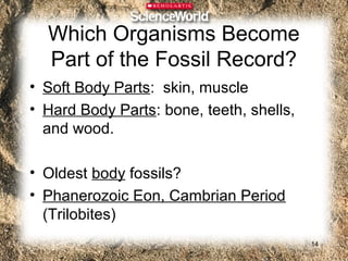 Which Organisms Become
  Part of the Fossil Record?
• Soft Body Parts: skin, muscle
• Hard Body Parts: bone, teeth, shells,
  and wood.

• Oldest body fossils?
• Phanerozoic Eon, Cambrian Period
  (Trilobites)
                                          14
 