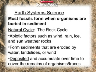 Earth Systems Science
Most fossils form when organisms are
buried in sediment
Natural Cycle: The Rock Cycle
•Abiotic factors such as wind, rain, ice,
and sun weather rocks
•Form sediments that are eroded by
water, landslides, or wind
•Deposited and accumulate over time to
cover the remains of organisms/traces
                                        12
 