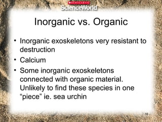 Inorganic vs. Organic
• Inorganic exoskeletons very resistant to
  destruction
• Calcium
• Some inorganic exoskeletons
  connected with organic material.
  Unlikely to find these species in one
  “piece” ie. sea urchin

                                         16
 