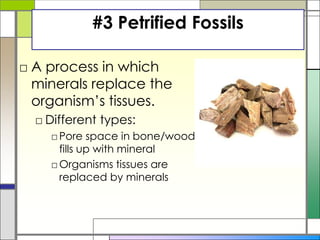 #3 Petrified Fossils
□ A process in which
minerals replace the
organism’s tissues.
□ Different types:
□Pore space in bone/wood
fills up with mineral
□Organisms tissues are
replaced by minerals
 