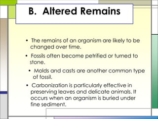 B. Altered Remains
• The remains of an organism are likely to be
changed over time.
• Fossils often become petrified or turned to
stone.
• Molds and casts are another common type
of fossil.
• Carbonization is particularly effective in
preserving leaves and delicate animals. It
occurs when an organism is buried under
fine sediment.
 
