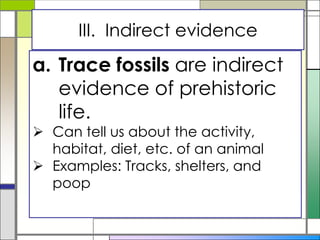 a. Trace fossils are indirect
evidence of prehistoric
life.
 Can tell us about the activity,
habitat, diet, etc. of an animal
 Examples: Tracks, shelters, and
poop
III. Indirect evidence
 