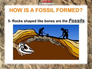 Fossils | PPTX