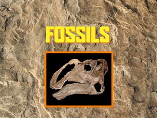 What is a fossil?
• Fossils tell us about organisms that lived
long ago.
• They also tell us about how Earth’s surface
has...