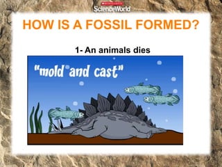 HOW IS A FOSSIL FORMED?
2- Soft parts decay. (skin and flesh)
 