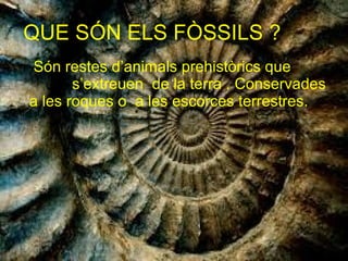 QUE SÓN ELS FÒSSILS ?
Són restes d’animals prehistòrics que
s’extreuen de la terra . Conservades
a les roques o a les escorces terrestres.
16/03/15
 
