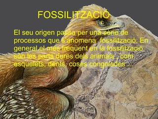 FOSSILITZACIÓ
El seu origen passa per una sèrie de
processos que s’anomena fossilització. En
general el més freqüent en la fossilització
són les parts dures dels animals , com
esquelets, dents, coses congelades ...
16/03/15
 