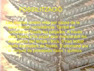 FOSSILITZACIÓ
Les plantes costen més per causa de la
seva menor consistència. També es
consideren fòssils les petjades. A través
dels fòssils s’ha pogut anar relacionant les
evolucions del temps i llocs. S’han trobat
molts exemplars de fòssils. S’anomena així
el conjunt de processos físics i químics
16/03/15
 