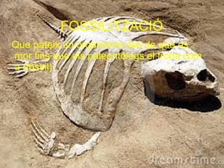 FOSSILITZACIÓ
Que pateix un organisme des de que es
mor fins que els paleontòlegs el troba com
a (fòssil) .
16/03/15
 