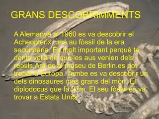 GRANS DESCOBRIMMENTS
A Alemanya al 1960 es va descobrir el
Acheopterix ,una au fòssil de la era
secundaria. És molt important perquè te
dents volia dir que les aus venien dels
reptils.Ara es al museu de Berlin.es pot
trobar a Europa. Tambe es va descobrir un
dels dinosaures mes grans del mòn. El
diplodocus que fa 27m. El seu fòssil es va
trovar a Estats Units.
16/03/15
 