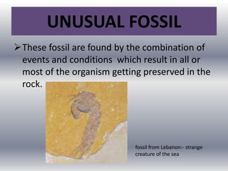 UNUSUAL FOSSIL
These fossil are found by the combination of
events and conditions which result in all or
most of the organism getting preserved in the
rock.
fossil from Lebanon:- strange
creature of the sea
 