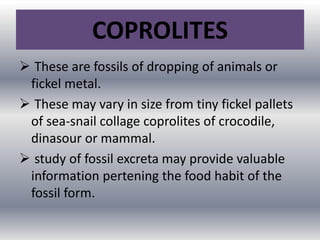 COPROLITES
 These are fossils of dropping of animals or
fickel metal.
 These may vary in size from tiny fickel pallets
of sea-snail collage coprolites of crocodile,
dinasour or mammal.
 study of fossil excreta may provide valuable
information pertening the food habit of the
fossil form.
 