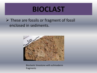 BIOCLAST
 These are fossils or fragment of fossil
enclosed in sediments.
Bioclastic limestone with echinoderm
fragments
 