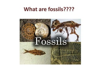 What are fossils????
 