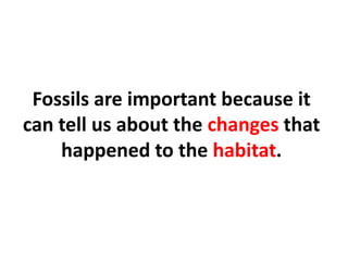 Fossils are important because it
can tell us about the changes that
happened to the habitat.
 