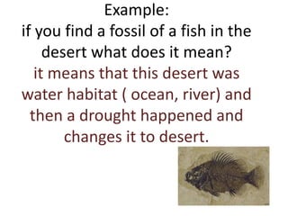 Example:
if you find a fossil of a fish in the
desert what does it mean?
it means that this desert was
water habitat ( ocean, river) and
then a drought happened and
changes it to desert.
 