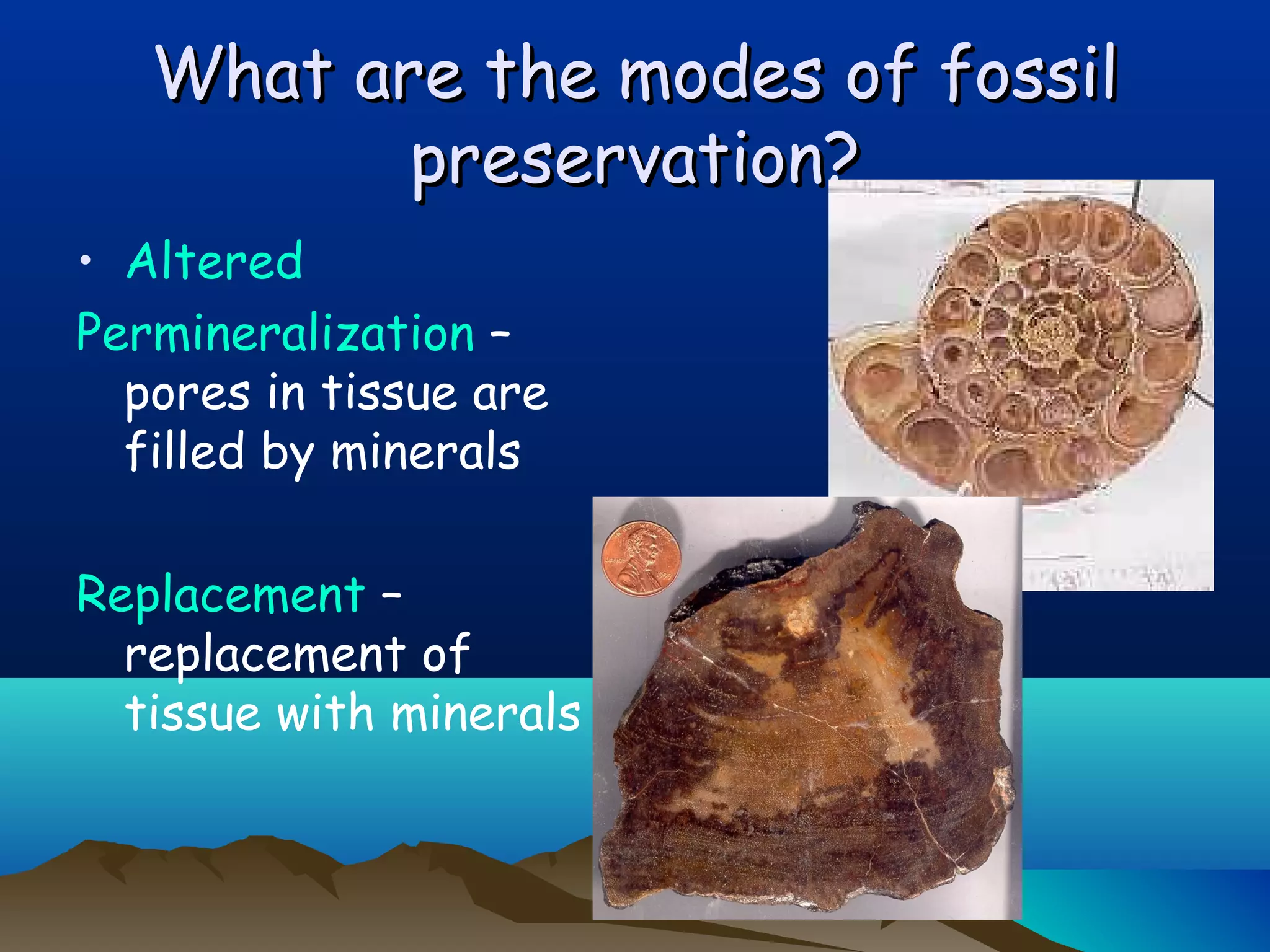 What are the modes of fossilWhat are the modes of fossil
preservation?preservation?
• Altered
Permineralization –
pores in tissue are
filled by minerals
Replacement –
replacement of
tissue with minerals
 