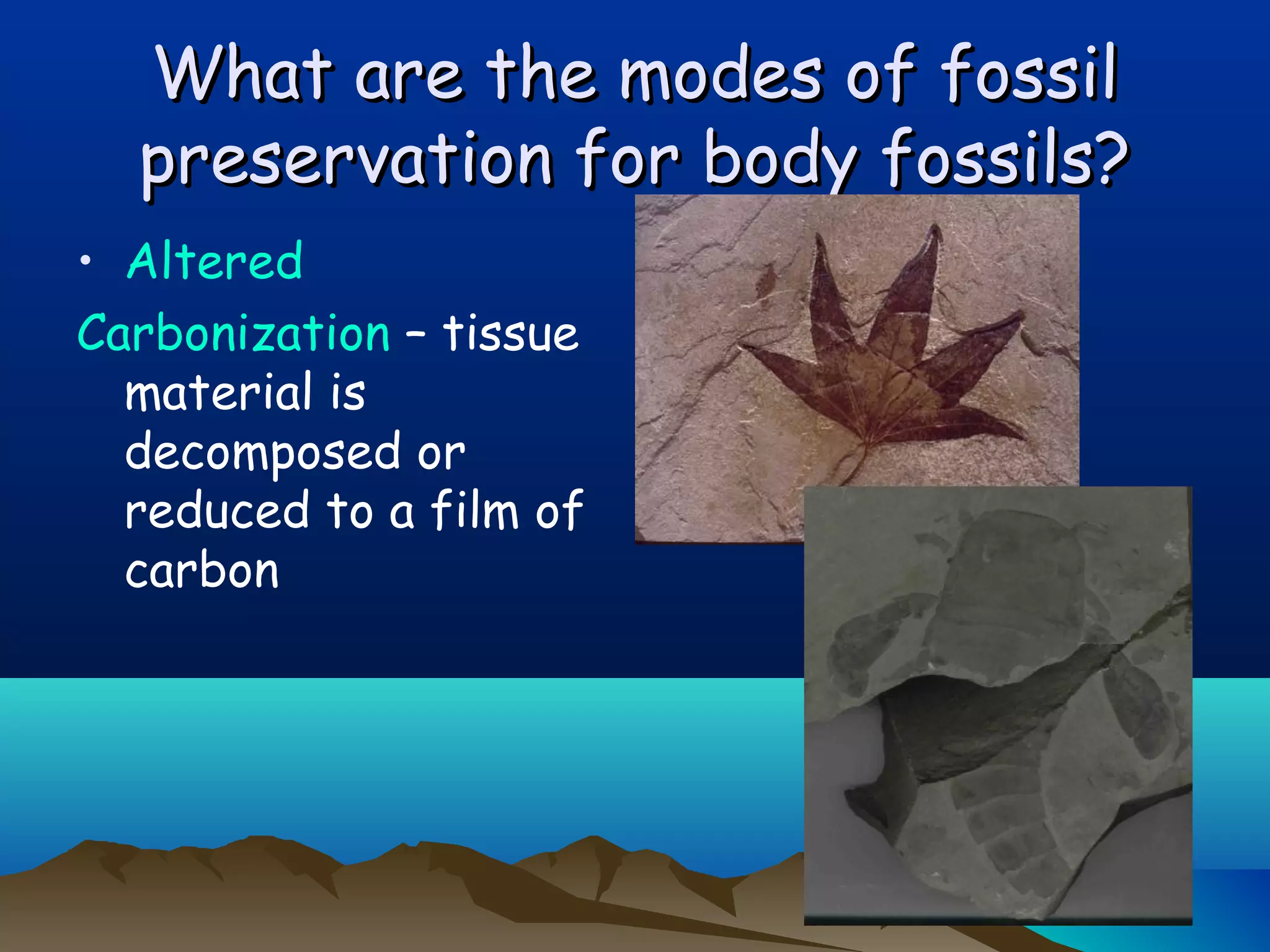What are the modes of fossilWhat are the modes of fossil
preservation for body fossils?preservation for body fossils?
• Altered
Carbonization – tissue
material is
decomposed or
reduced to a film of
carbon
 