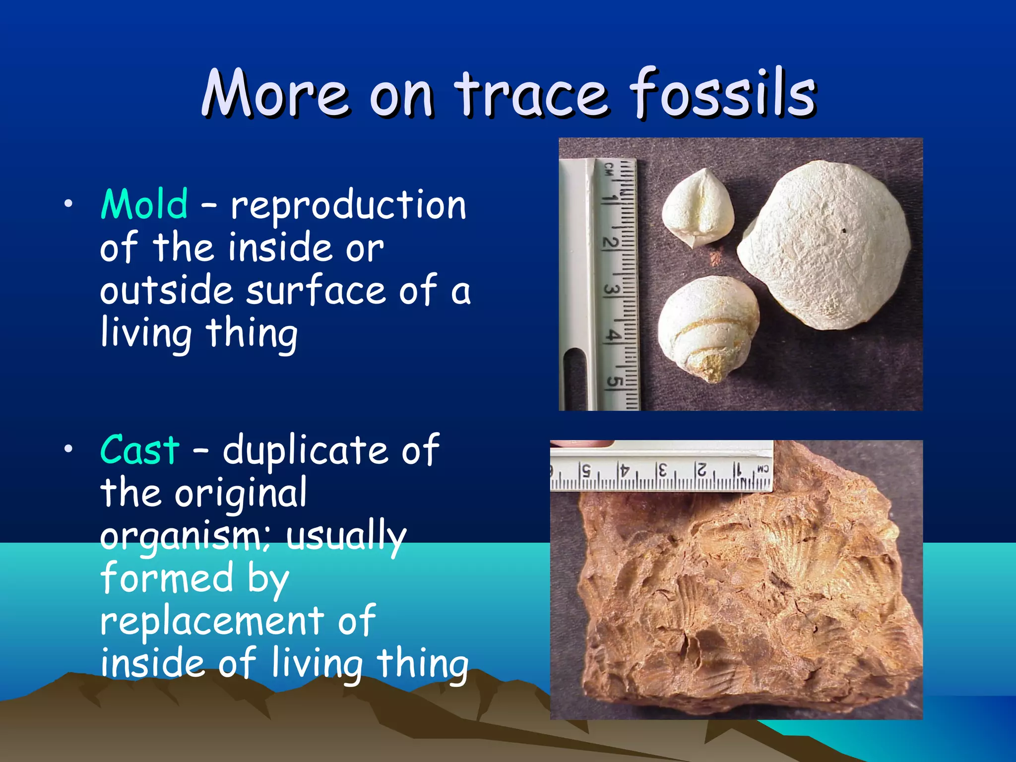 More on trace fossilsMore on trace fossils
• Mold – reproduction
of the inside or
outside surface of a
living thing
• Cast – duplicate of
the original
organism; usually
formed by
replacement of
inside of living thing
 