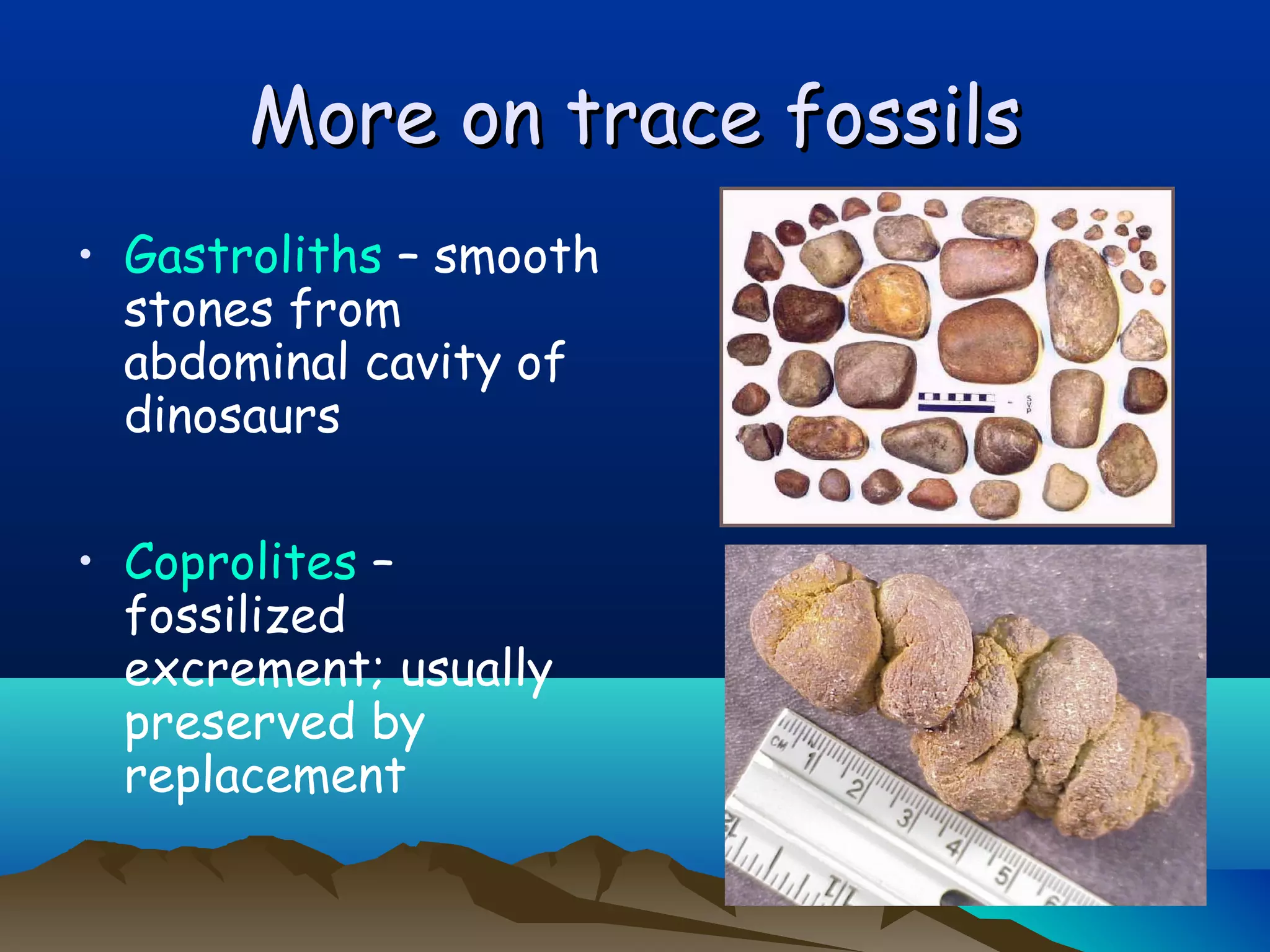 More on trace fossilsMore on trace fossils
• Gastroliths – smooth
stones from
abdominal cavity of
dinosaurs
• Coprolites –
fossilized
excrement; usually
preserved by
replacement
 