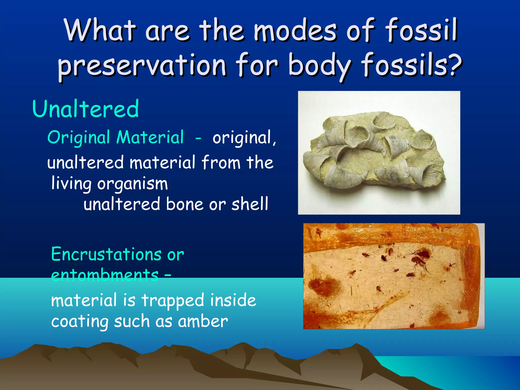 What are the modes of fossilWhat are the modes of fossil
preservation for body fossils?preservation for body fossils?
Unaltered
Original Material - original,
unaltered material from the
living organism
unaltered bone or shell
Encrustations or
entombments –
material is trapped inside
coating such as amber
 