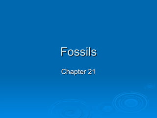 Fossils Chapter 21 