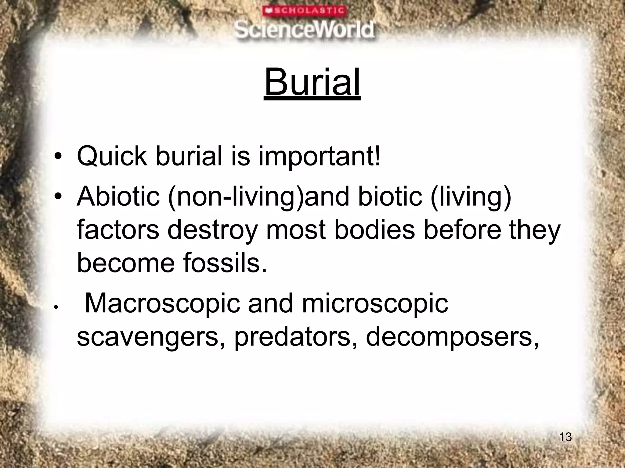 Burial
13
• Quick burial is important!
• Abiotic (non-living)and biotic (living)
factors destroy most bodies before they
become fossils.
• Macroscopic and microscopic
scavengers, predators, decomposers,
 