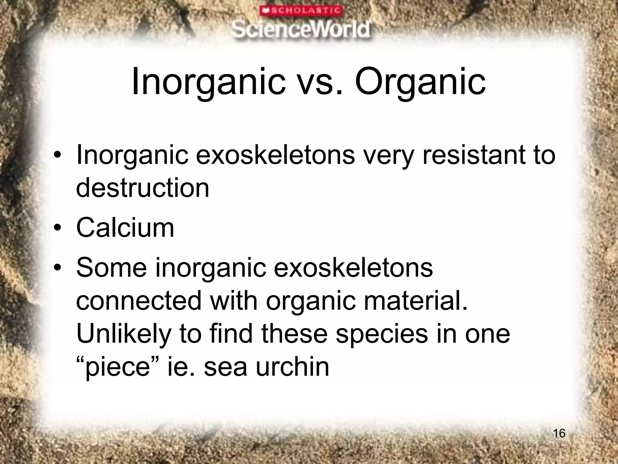 Inorganic vs. Organic
16
• Inorganic exoskeletons very resistant to
destruction
• Calcium
• Some inorganic exoskeletons
connected with organic material.
Unlikely to find these species in one
“piece” ie. sea urchin
 