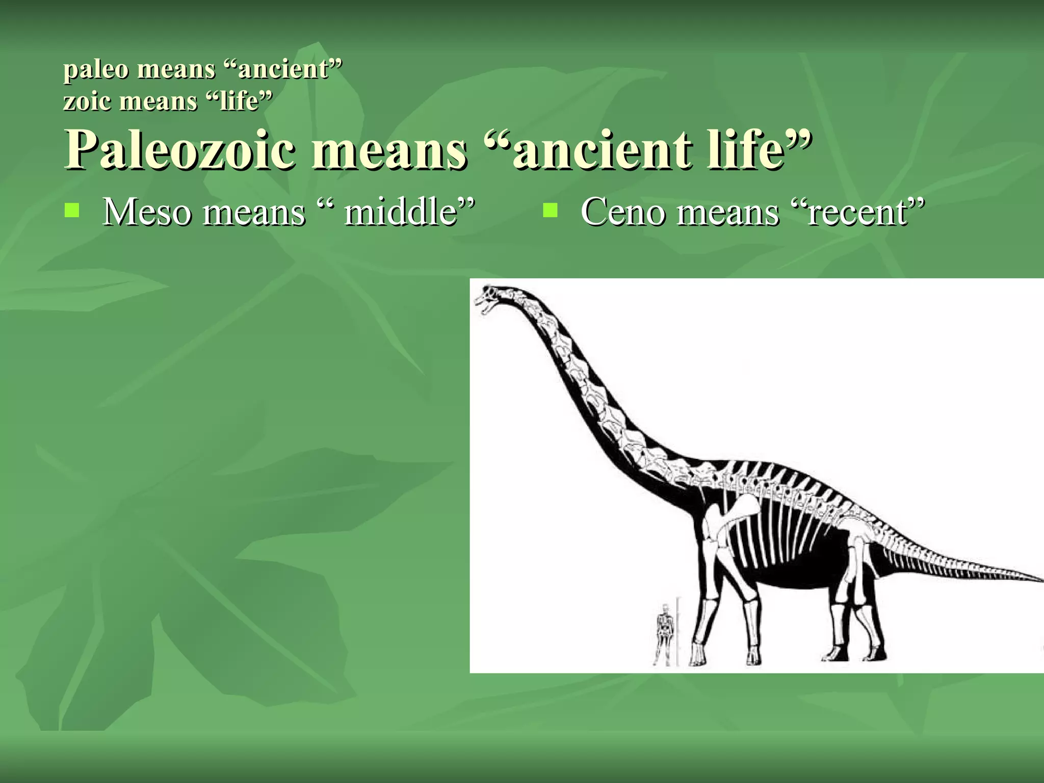 paleo means “ancient” zoic means “life” Paleozoic means “ancient life” Meso means “ middle” Ceno means “recent” 