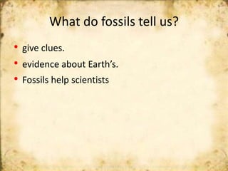 Fossils 