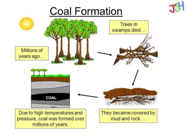 Are Coal Oil And Natural Gas Formed From Decayed Plants Are Coal Oil And Natural Gas Formed From Decayed Plants