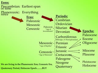 Eons:
Precambrian: Earliest span
of time
Phanerozoic: Everything
since
Eras:
Paleozoic
Mesozoic
Cenozoic
Periods:
Cambrian
Ordovician
Silurian
Devonian
Carboniferous
(Missipp. & Pennsylvanian)
Permian
Triassic
Jurassic
Cretaceous
Paleogene
Neogene
Quaternary
Epochs:
Paleocene
Eocene
Oligocene
Miocene
Pliocene
Pleistocene
Holocene
We are living in the Phanerozoic Eon, Cenozoic Era,
Quaternary Period, Holocene Epoch……..BUT
Paleozoic
“Age of
Invertebrates”
Mesozoic
“Age of Reptiles”
Cenozoic
“Age of Mammals”
Table of Contents
 