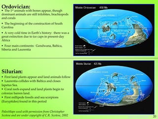 Ordovician:
Silurian:
 The 1st animals with bones appear, though
dominant animals are still trilobites, brachiopods
and corals
 The beginning of the construction of South
Carolina
 A very cold time in Earth’s history: there was a
great extinction due to ice caps in present-day
Africa
 Four main continents: Gondwana, Baltica,
Siberia and Laurentia
 First land plants appear and land animals follow
 Laurentia collides with Baltica and closes
Iapetus Sea.
 Coral reefs expand and land plants begin to
colonize barren land.
 First millipede fossils and sea scorpions
(Euryptides) found in this period
PaleoMaps used with permission from Christopher
Scotese and are under copyright of C.R. Scotese, 2002
15
20
Table of Contents
 