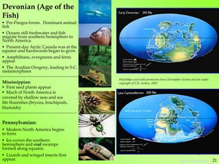 Devonian (Age of the
Fish)
Mississippian:
 First seed plants appear
 Much of North America is
covered by shallow seas and sea
life flourishes (bryoza, brachipods,
blastoids)
Pennsylvanian:
 Modern North America begins
to form
 Ice covers the southern
hemisphere and coal swamps
formed along equator.
 Lizards and winged insects first
appear.
 Pre-Pangea forms. Dominant animal:
fish
 Oceans still freshwater and fish
migrate from southern hemisphere to
North America.
 Present-day Arctic Canada was at the
equator and hardwoods began to grow.
 Amphibians, evergreens and ferns
appear
 The Acadian Orogeny, leading to S.C.
metamorphism
PaleoMaps used with permission from Christopher Scotese and are under
copyright of C.R. Scotese, 2002
16
21
Table of Contents
 