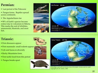 Permian:
 Last period of the Paleozoic
 Pangea forms. Reptiles spread
across continents.
 The Appalachians rise
 90% of Earth’s species become
extinct due to volcanism in Siberia.
This marks the end of trilobites,
ammonoids, blastoids, and most
fish.
Triassic:
 First dinosaurs appear
 First mammals- small rodents appear
 Life and fauna re-diversify
 Rocky Mountains form.
 First turtle fossil from this period
 Pangea breaks apart
PaleoMaps used with permission from Christopher Scotese and are under
copyright of C.R. Scotese, 2002
22
Table of Contents
 