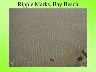 Ripple Marks, Bay Beach
 