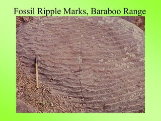 Fossil Ripple Marks, Baraboo Range
 