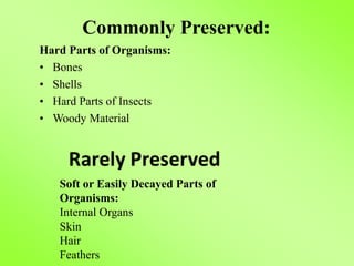 Commonly Preserved:
Hard Parts of Organisms:
• Bones
• Shells
• Hard Parts of Insects
• Woody Material
Soft or Easily Decayed Parts of
Organisms:
Internal Organs
Skin
Hair
Feathers
 
