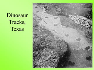 Dinosaur
Tracks,
Texas
 