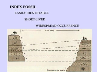 INDEX FOSSIL
EASILY IDENTIFIABLE
WIDESPREAD OCCURRENCE
SHORT-LIVED
 