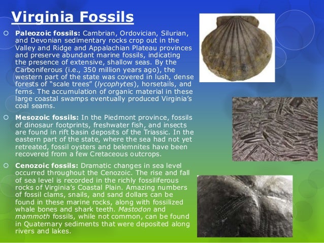 dating of rocks fossils and geologic events