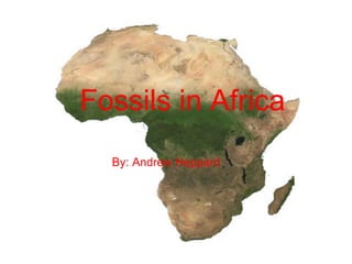 Fossils in Africa By: Andrew Heppard Fossils in Africa By: Andrew Heppard 