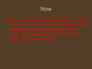 Now So as you can see, fossils do help us.  They tell us about how we evolved to the human beings (or Homo Sapiens) that we are today.  So fossils aren’t just important to Africa, but the world too!! 
