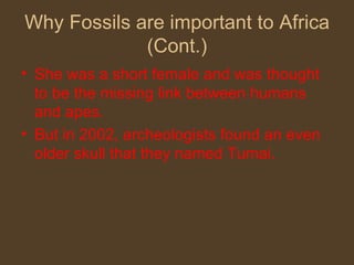 Why Fossils are important to Africa (Cont.) She was a short female and was thought to be the missing link between humans and apes. But in 2002, archeologists found an even older skull that they named Tumai. 